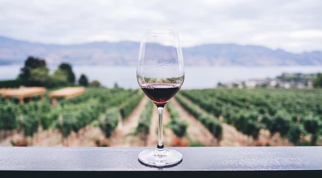 Un verre de vin rouge posé sur une rambarde avec vue sur un vignoble verdoyant, un lac et des montagnes en arrière-plan.