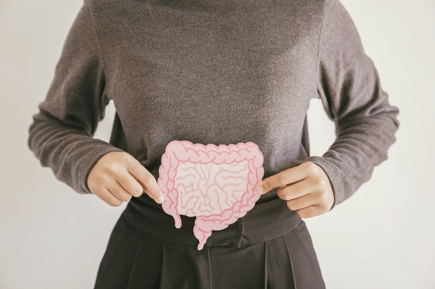 Une personne en pull gris tenant une illustration rose du système digestif devant son abdomen.