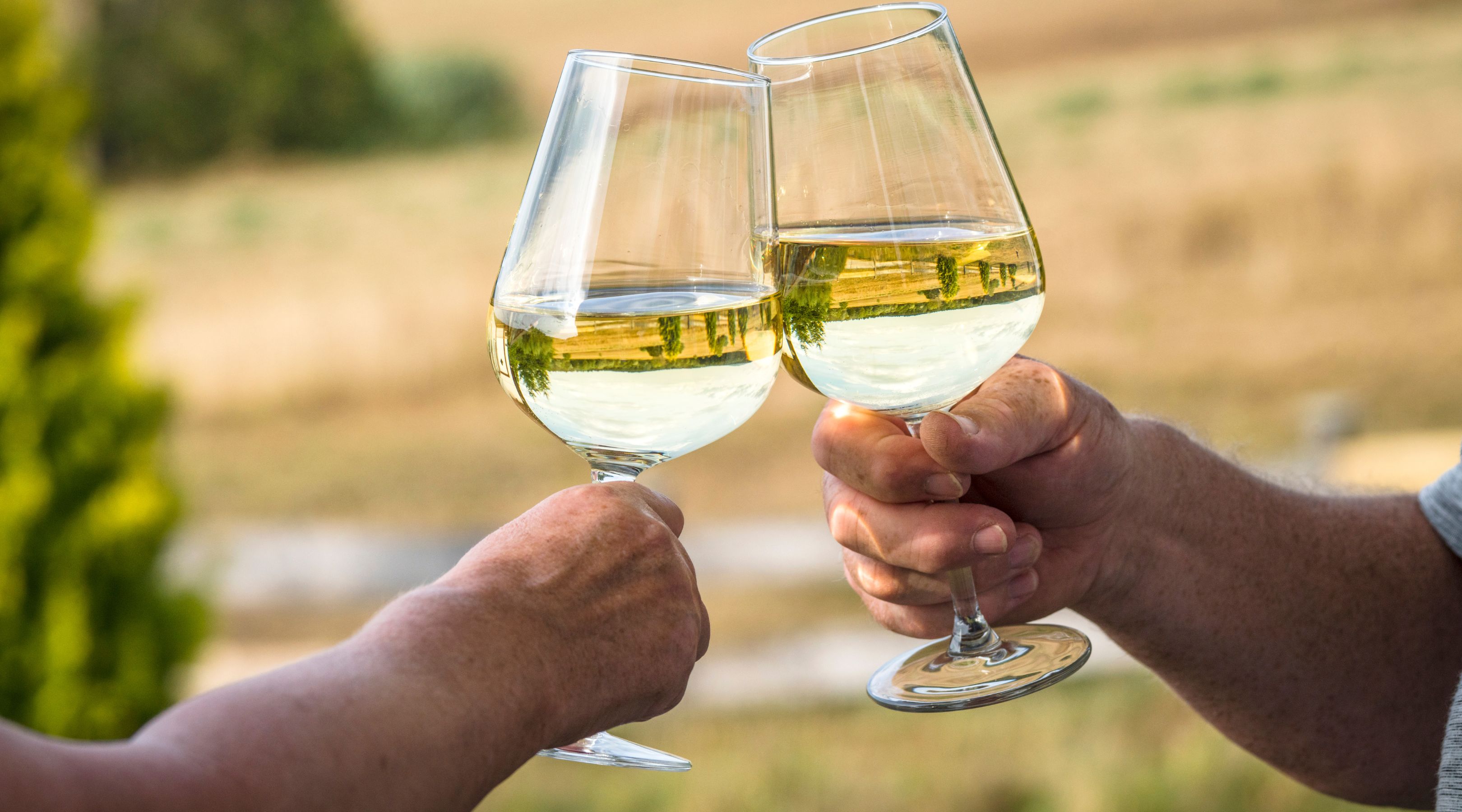 vin blanc sec