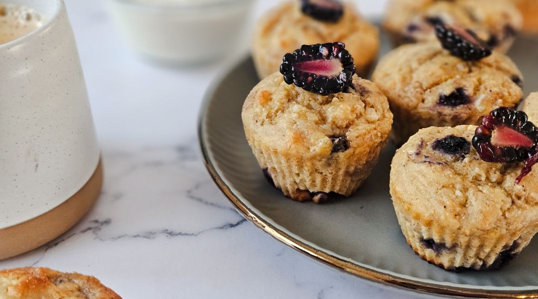Muffins style cheesecake