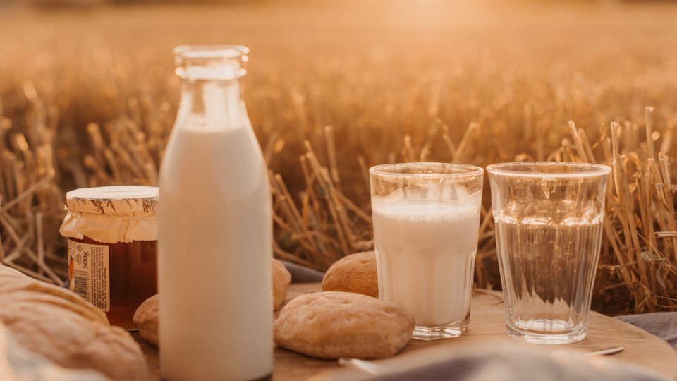 lait dans un champs