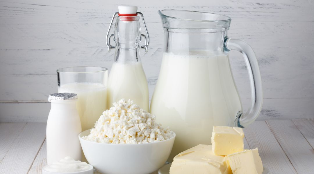 Milk bottles and jugs on a light wooden table with a small bowl of grated cheese and several cheese cubes, set against a pale background.
