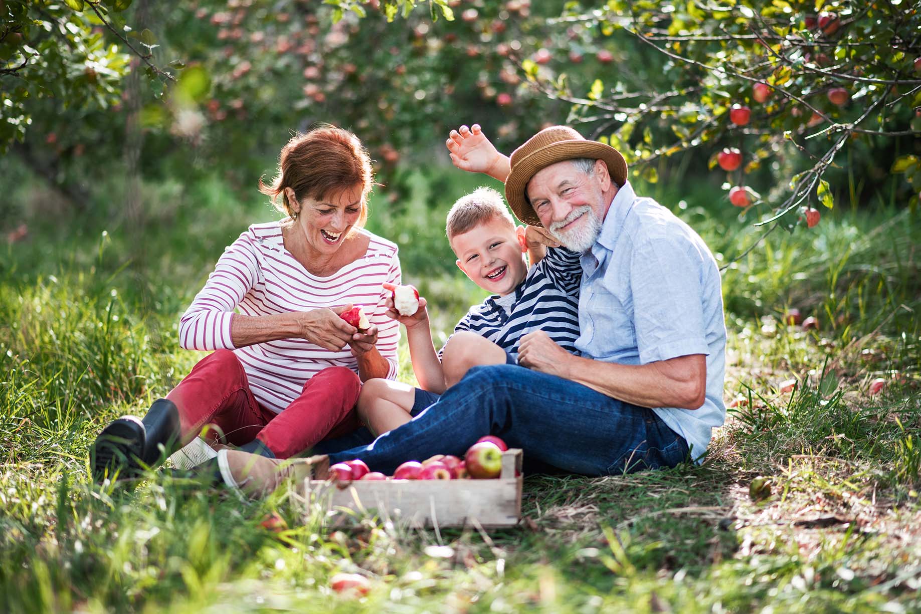 Senior couple with grandson sitting in an orchard