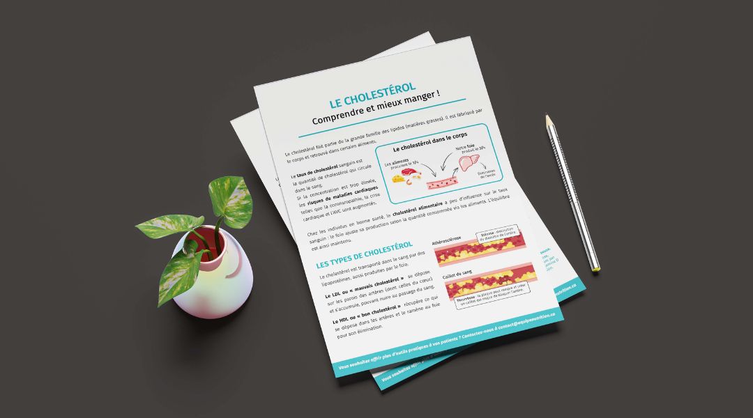 Brochure éducative sur le cholestérol posée sur une surface sombre, accompagnée d’une plante en pot et d’un crayon