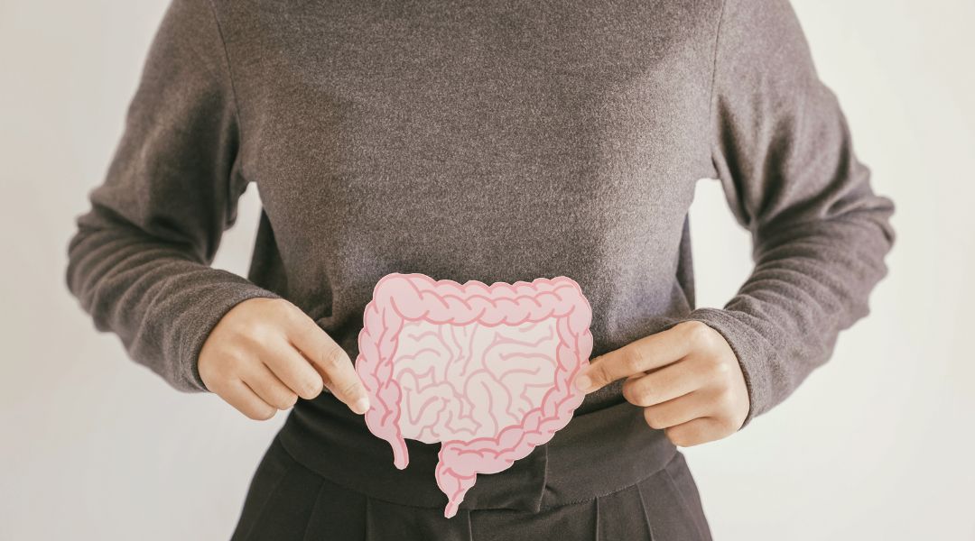 femme qui tient une image d'intestin