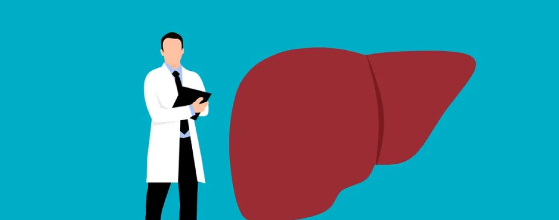 medecin analysant un foie