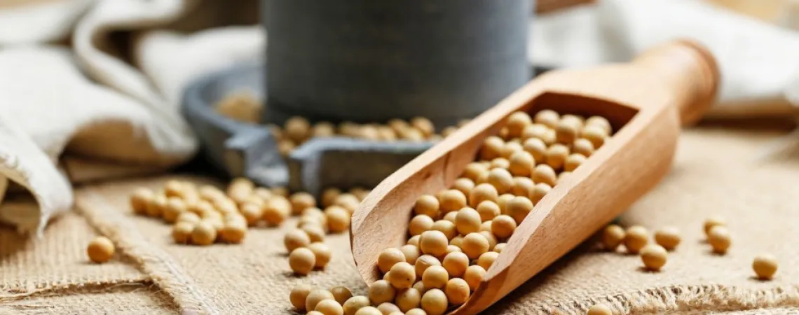 soya