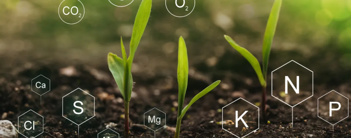 Connaissez-vous la nutrigénomique ?