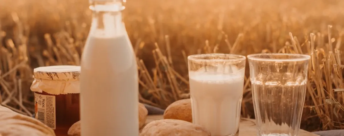 lait dans un champs