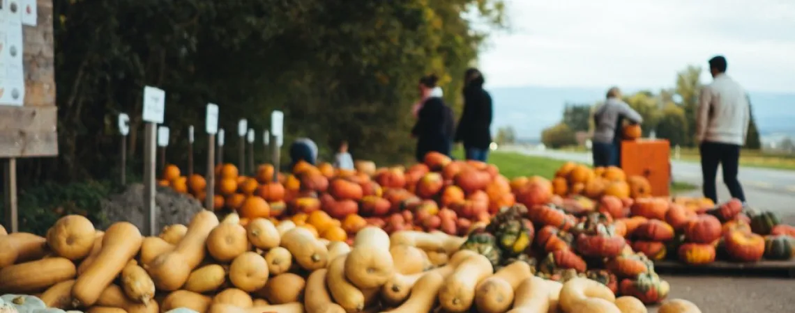 vente de courges