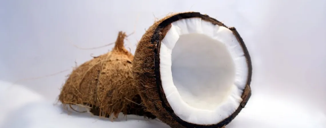 noix de coco
