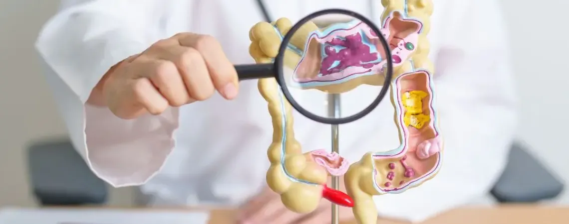 a doctor holding a magnifying glass over a model of the human digestive system