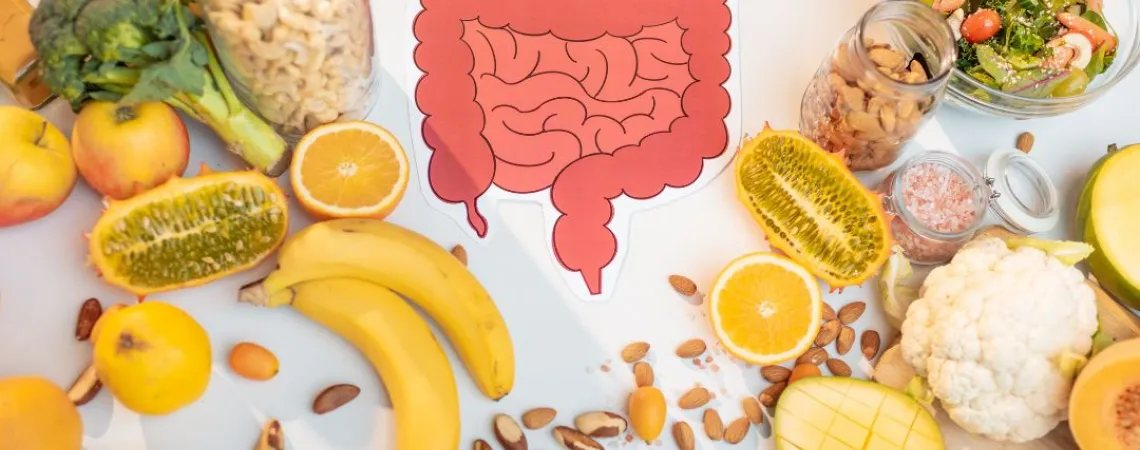 le système digestif est entouré de fruits et de légumes
