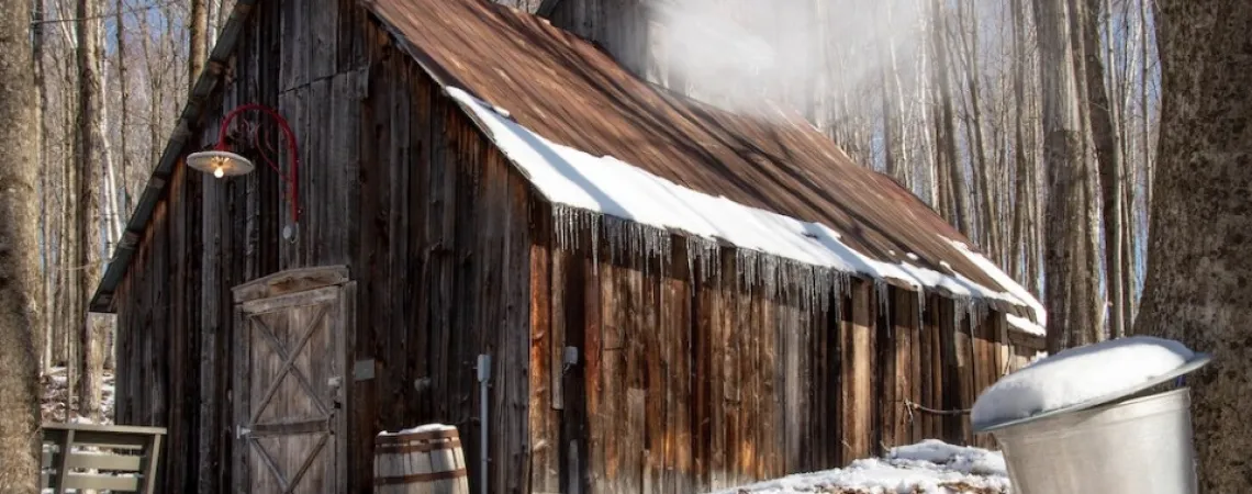 Cabane à sucre