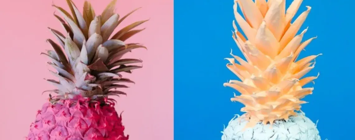 ananas rose et ananas bleu