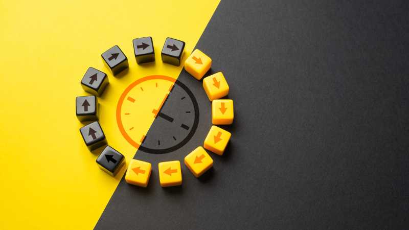 Cycle circadien activité nuit jour - Circadian circle night day activity