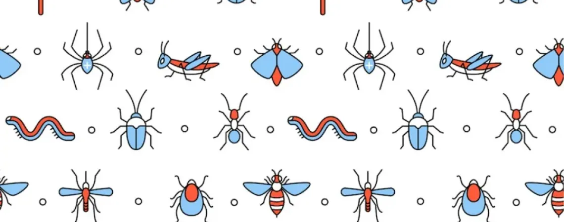 insects