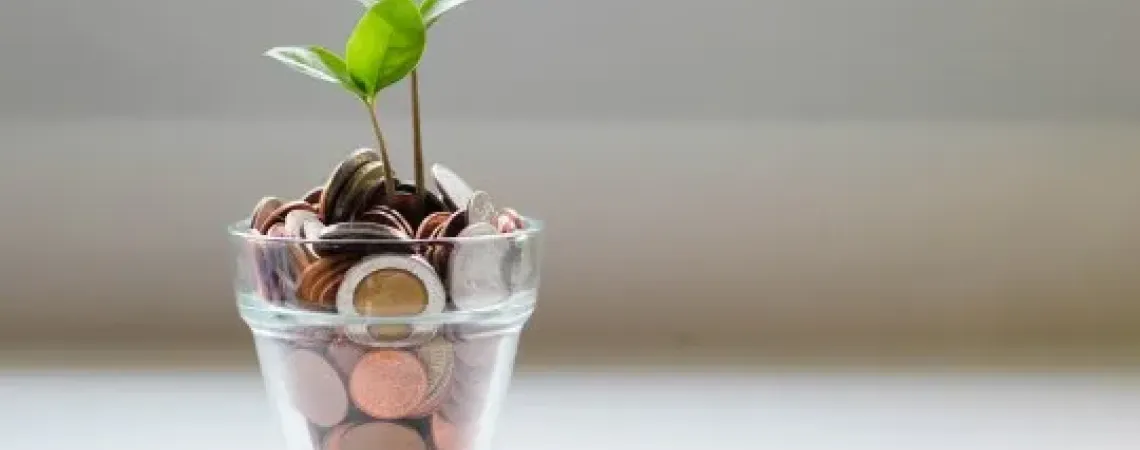 Money in a bowl