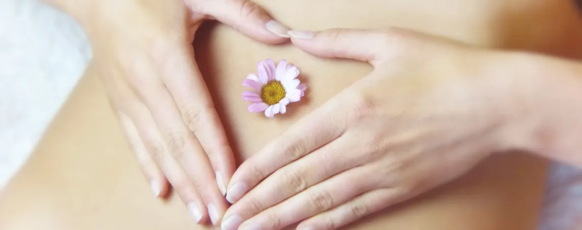 Hands forming a heart shape on a bare stomach with a small pink daisy at the center - ains formant un cœur sur un ventre nu avec une petite marguerite rose au centre