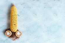 Corn Maïs Phalus