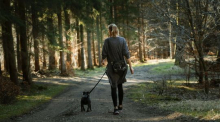 bouger sans s'entrainer, activité physique, intuition, nutrition