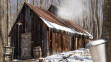 Cabane à sucre