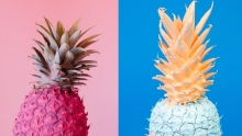 ananas rose et ananas bleu 