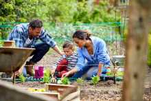 Mother and son in vegetable garden - Mère et fils dans le jardin
