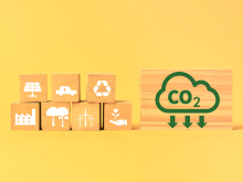 blocs de bois empilés avec des formes écologiques peinturés en blanc devant un fond jaune