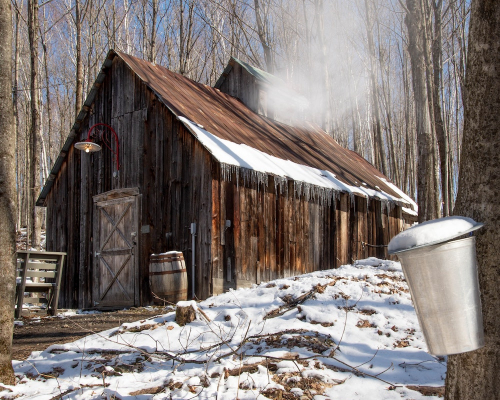 Cabane à sucre : comment ne pas sortir trop plein?