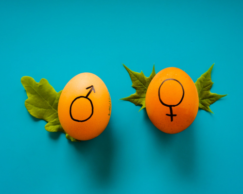 Le yogourt est aux femmes ce que la viande est aux hommes ?