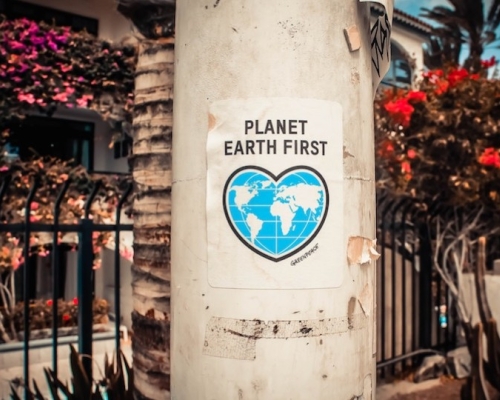 Affiche planet earth first sur un arbre