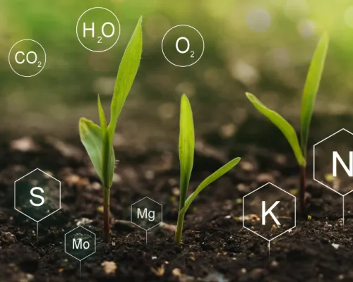 Connaissez-vous la nutrigénomique ?