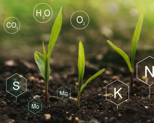 Connaissez-vous la nutrigénomique ?