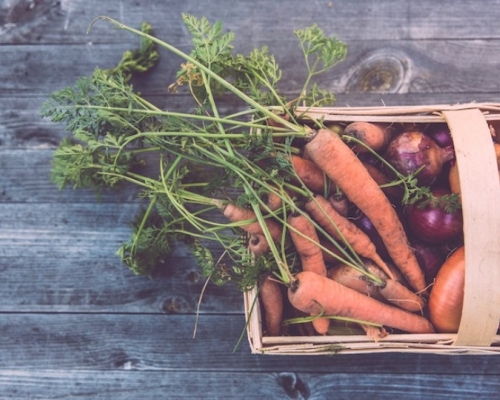 panier de légumes biologique sur une table en bois