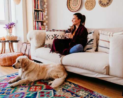 Femme assise sur un canapé avec une tasse, un chien couché sur un tapis coloré devant elle - Woman sitting on a couch with a cup, a dog lying on a colorful rug in front of her