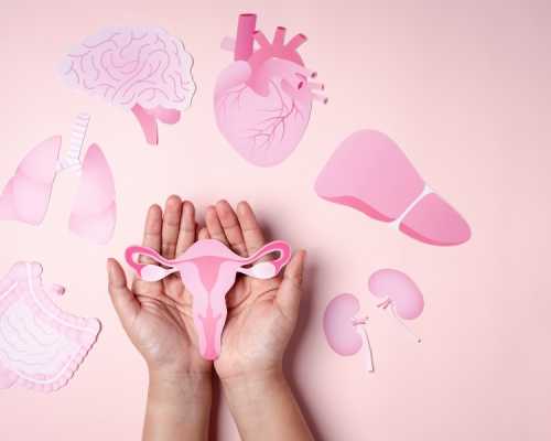 a person's hands are holding pink paper cutouts of organs infertility nutrition advices