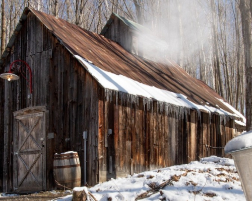 Cabane à sucre