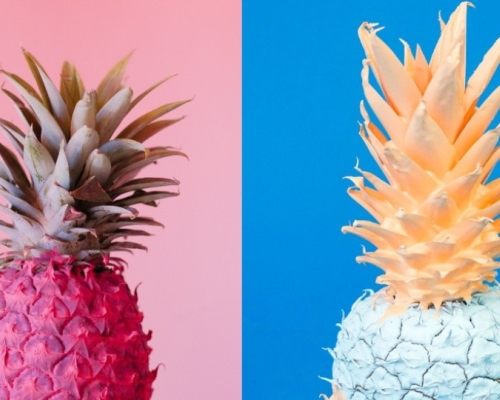 ananas rose et ananas bleu 