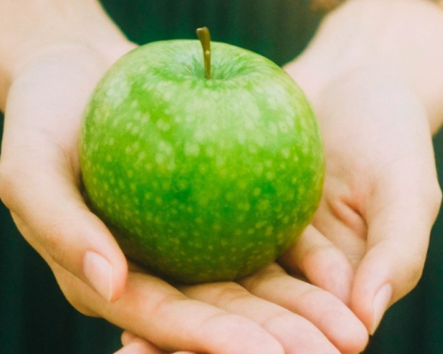 Une pomme verte sur la paume des mains