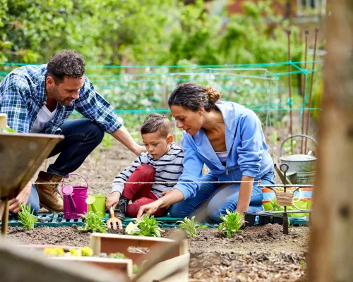 Mother and son in vegetable garden - Mère et fils dans le jardin