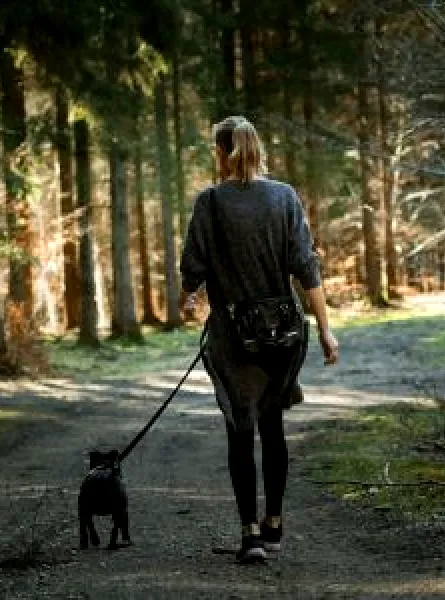 bouger sans s'entrainer, activité physique, intuition, nutrition
