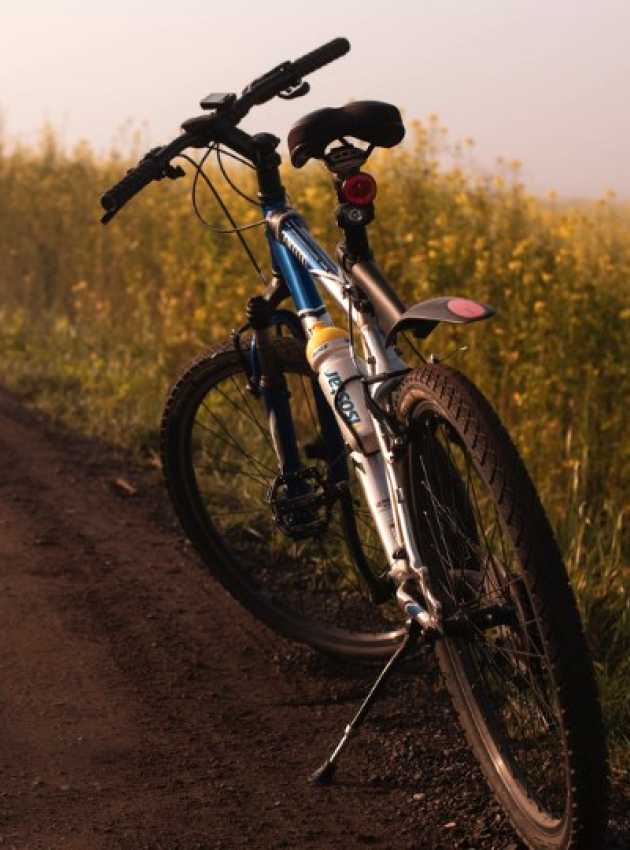 vélo stationné sur le bord d'une route