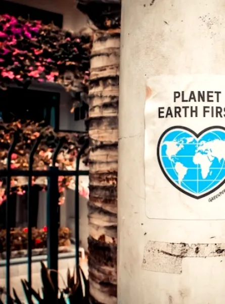Affiche planet earth first sur un arbre
