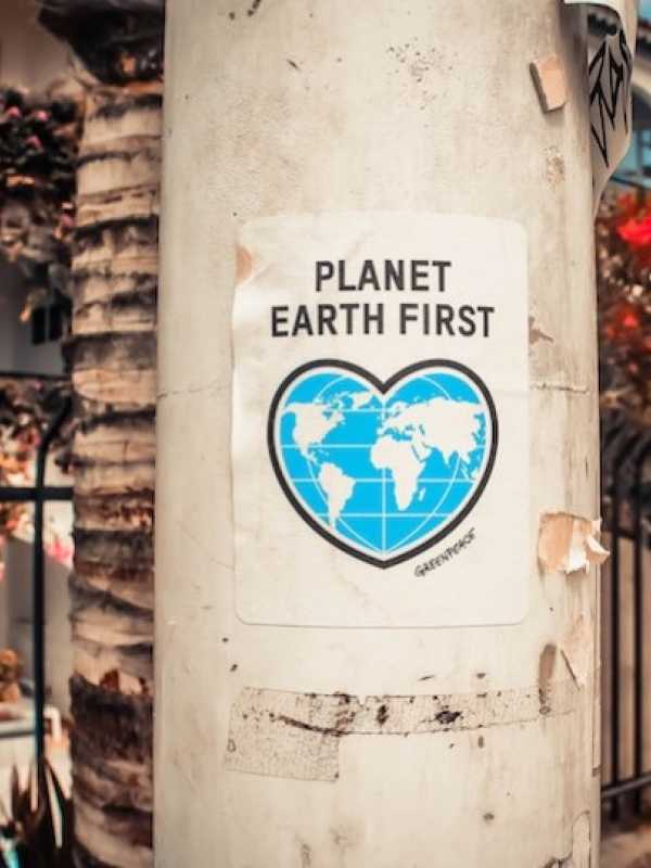 Affiche planet earth first sur un arbre