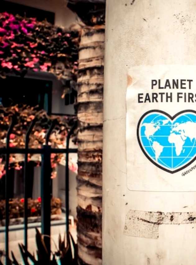 Affiche planet earth first sur un arbre