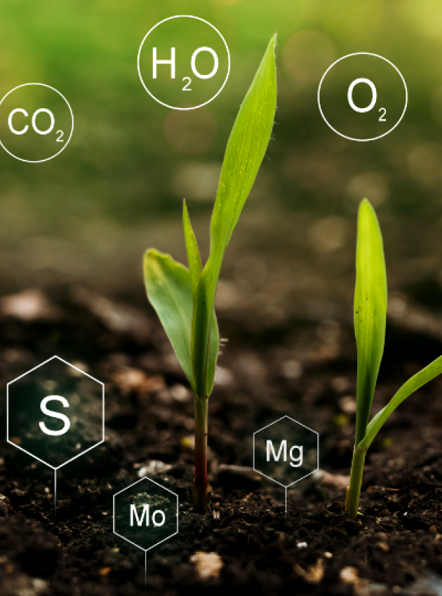 Connaissez-vous la nutrigénomique ?