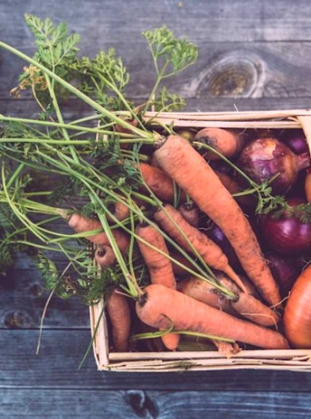 panier de légumes biologique sur une table en bois