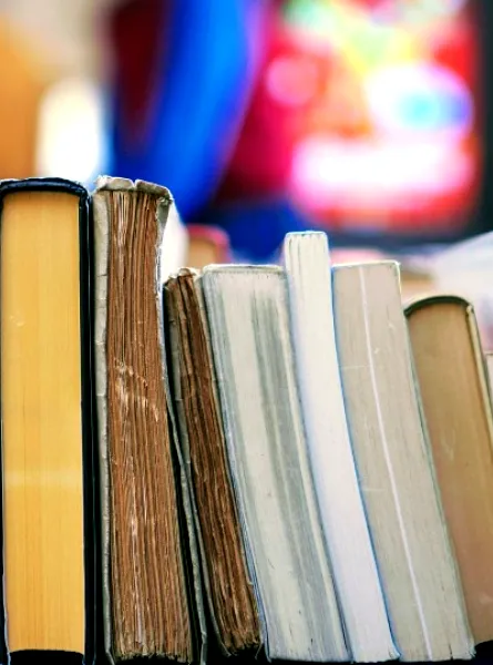 livres québécois