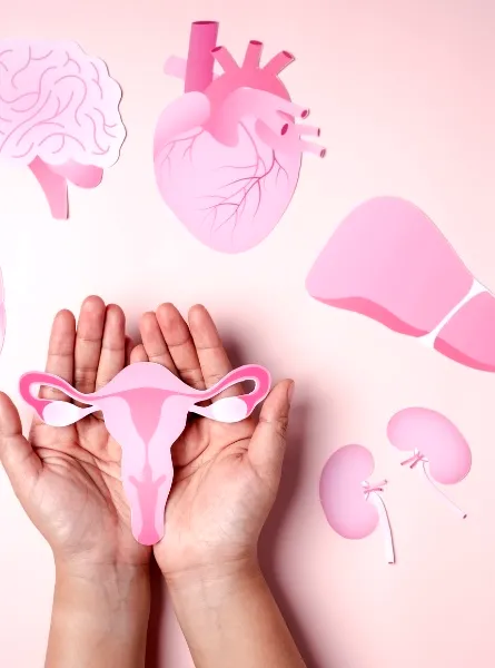 a person's hands are holding pink paper cutouts of organs infertility nutrition advices